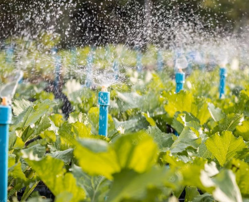 water-sprinkler-system-working-green-vegetable-garden_30478-2077